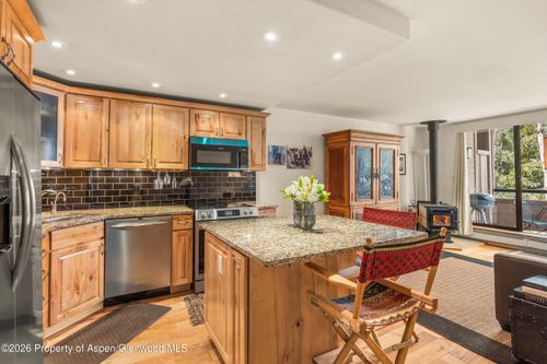 236 Vine Street, Aspen, CO, 81611 | Card Image