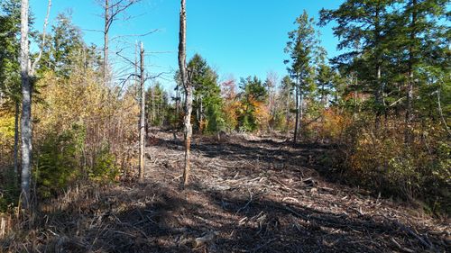 Lot 5 Long Pine Road, Woodville, ME, 04457 | Card Image