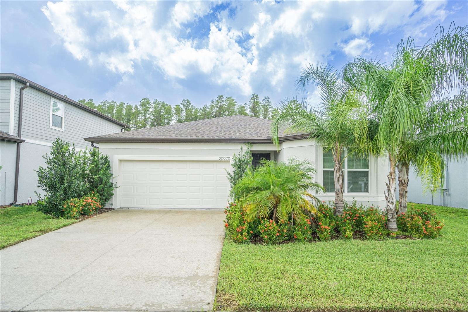 Monza Loop, Land O Lakes, FL 34638