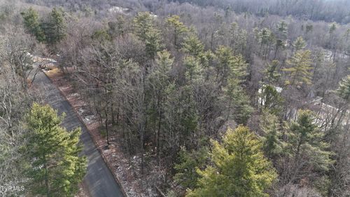 Tr 10 Mountain Laurel Ct, Unicoi, TN, 37692 | Card Image