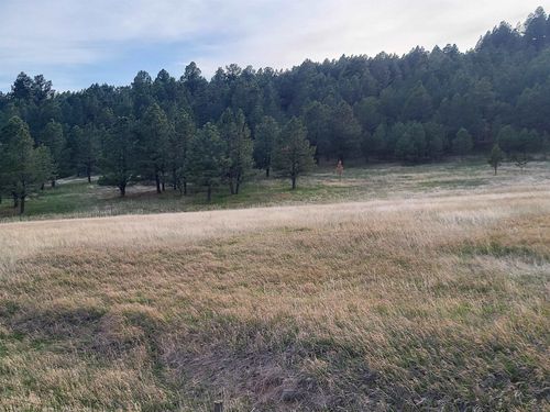 TBD Lh Rd, Fairburn, SD, 57738 | Card Image