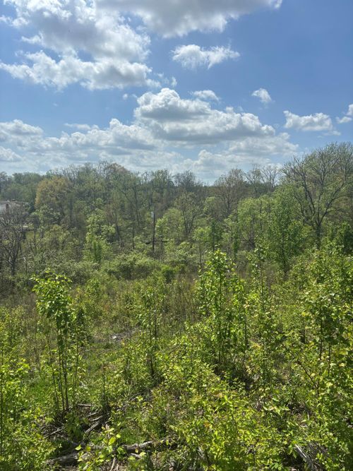 85 Kentucky Dr, Newport, KY, 41071-2723 | Card Image