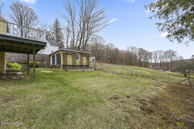 Back yard | Image 19