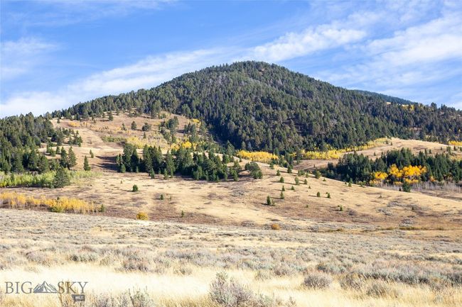 77 Gvt Lot 6 Final Legal Tbd, Home with 0 bedrooms, 0 bathrooms and null parking in Cameron MT | Image 17
