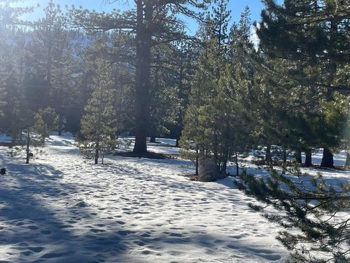 2510 Blitzen Road, South Lake Tahoe, CA, 96150 | Card Image