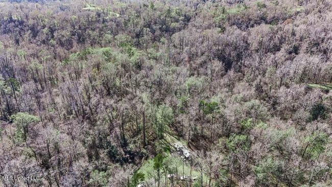 20250707195752572475000000-o | Image 19