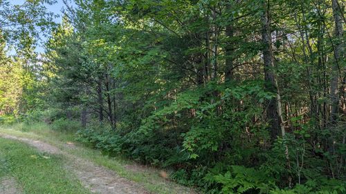 Lot B Hwy. 24, Orr, MN, 55771 | Card Image
