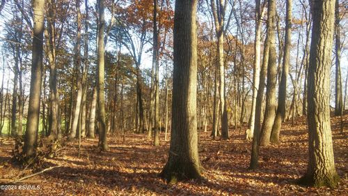 LOT 4 Milroy Rd, New Columbia, PA, 17856-8923 | Card Image