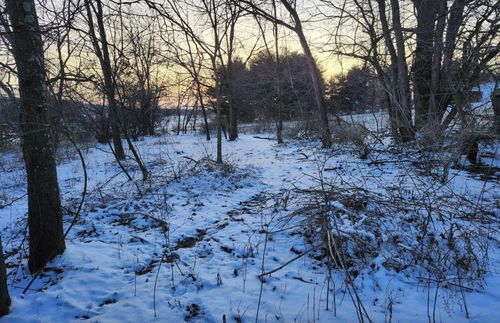 0 Howard Danville Rd, Danville, OH, 43014 | Card Image