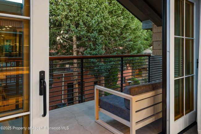 F10-1-10 - 550 S Spring St, Condo with 3 bedrooms, 4 bathrooms and 1 parking in Aspen CO | Image 42