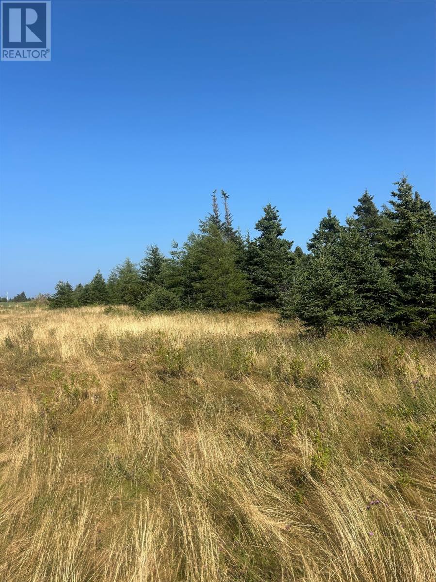 Land in Roaches Line 4