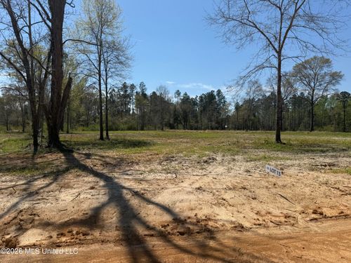 Lot 13 Oakley Lane, Lucedale, MS, 39452 | Card Image