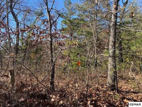 71 Poplar Pl, Sevierville, TN, 37876 | Card Image