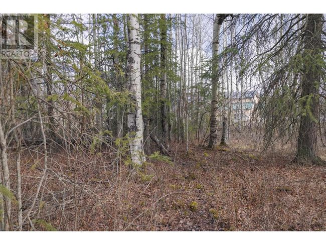 1105 S Frontage Rd, Home with 0 bedrooms, 0 bathrooms and null parking in Mcbride BC | Image 9