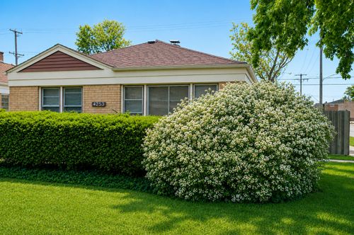 4253 Prescott Ave, Lyons, IL, 60534-1530 | Card Image