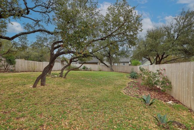 View of the large backyard | Image 23