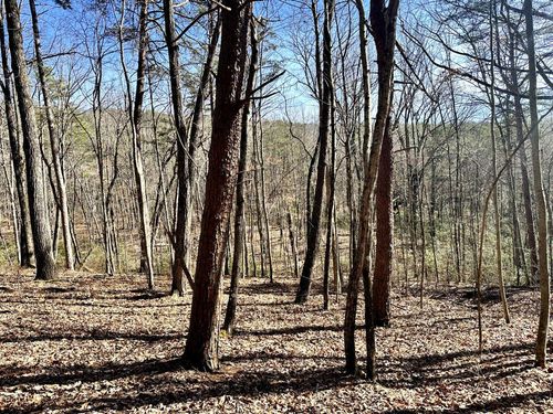 0 Hobbstown Rd, Dunlap, TN, 37327 | Card Image