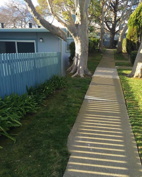 2-1591 Lago St, San Mateo, CA, 94403 | Card Image