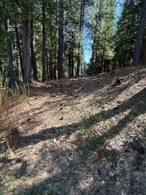 2179 Navajo Dr, Arnold, CA, 95223 | Card Image