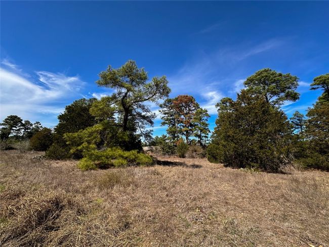 View of nature featuring a rural view | Image 7