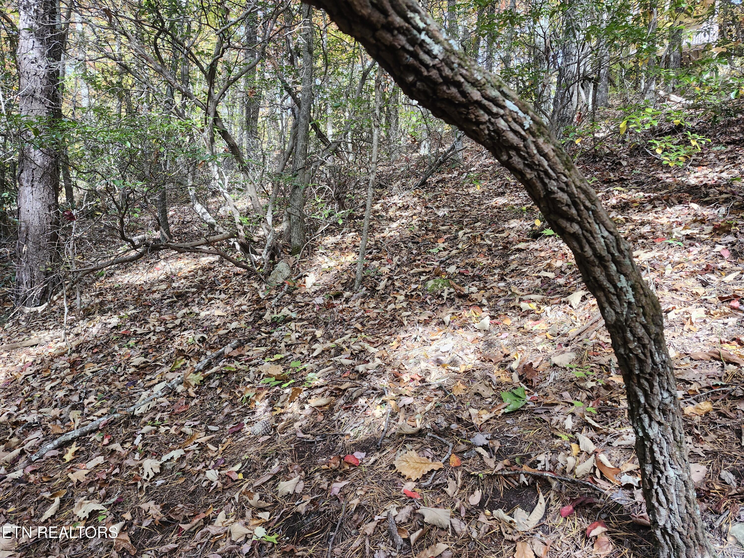 Land in Sevierville 4