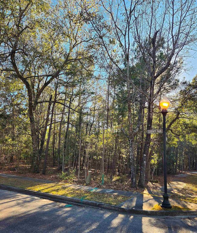 20 Serenity Park Ln, Home with 0 bedrooms, 0 bathrooms and null parking in Georgetown SC | Image 6