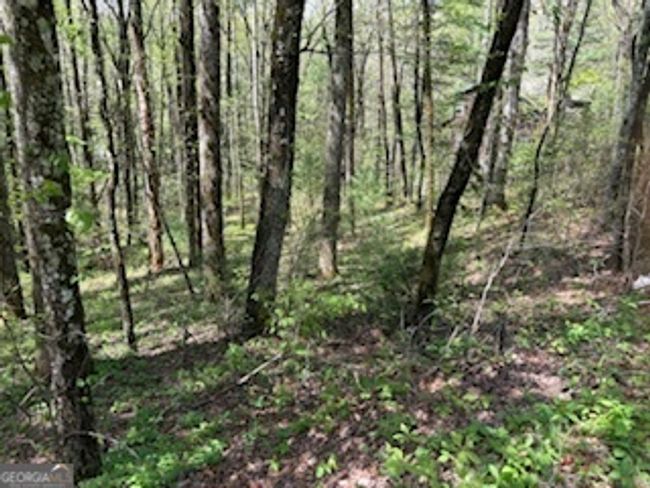 0 Bald Mountain Rd, Home with 0 bedrooms, 0 bathrooms and null parking in Dillard GA | Image 4