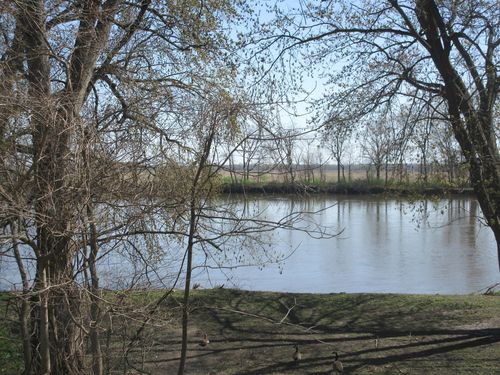 514 1st St E, Lyndon, IL, 61261 | Card Image