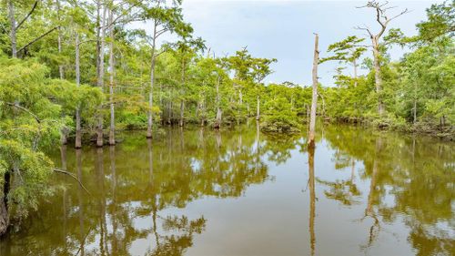 TBD County Road 4113, Call, TX, 75933 | Card Image