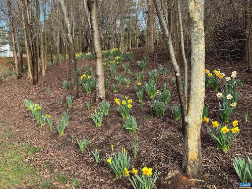 16d-TBD Edmond Dr, CROZET, VA, 22932 | Card Image