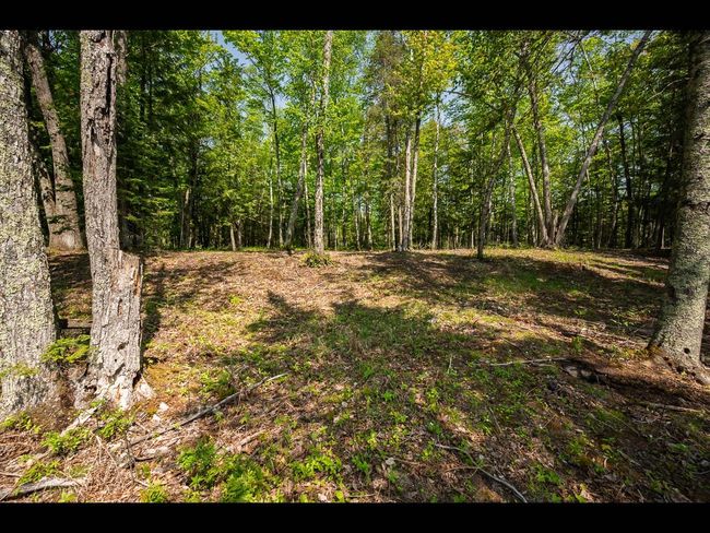 Lot 11 Kinderhook Trl, Home with 0 bedrooms, 0 bathrooms and null parking in Eagle River WI | Image 4