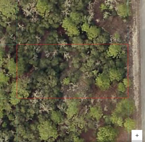 TBD Sw Seaweed Ave, Dunnellon, FL, 34431 | Card Image