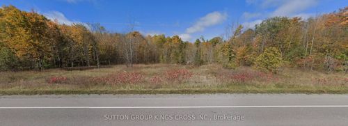 County Road 48 Portage Road, Kawartha Lakes, ON, K0M2B0 | Card Image