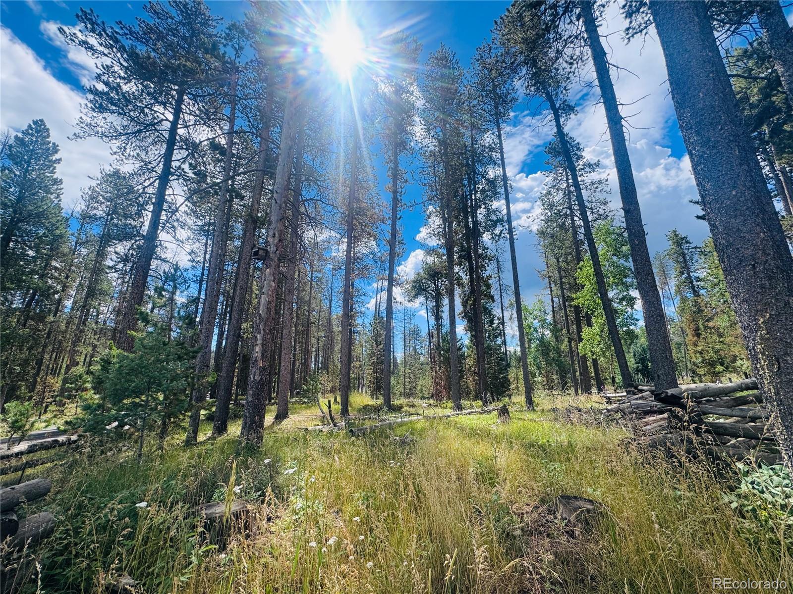 Land in Conifer 3