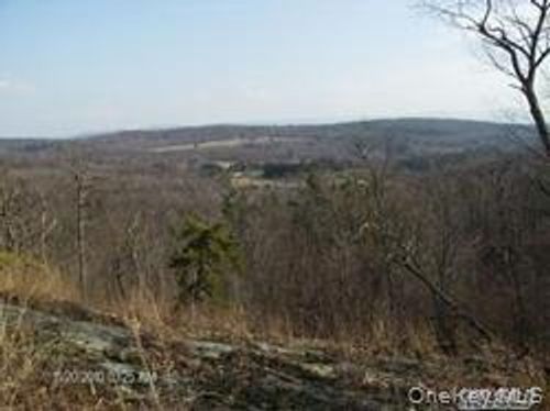 Greeley Road /Rte 27, Taghkanic, NY, 12521 | Card Image