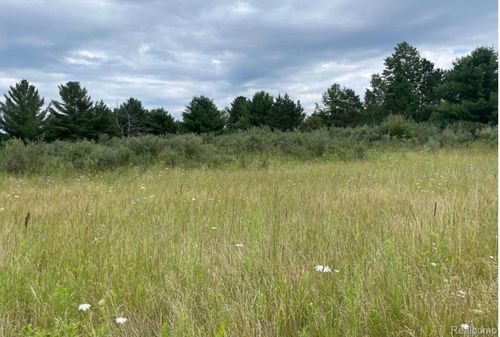 2520 Randall Rd, Luzerne, MI, 48636 | Card Image