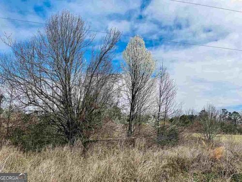 0 Sydney Lane, Oglethorpe, GA, 31068 | Card Image