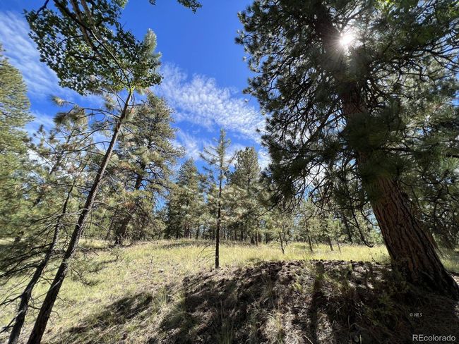 82 Kiowa Cir, Home with 0 bedrooms, 0 bathrooms and null parking in Westcliffe CO | Image 20