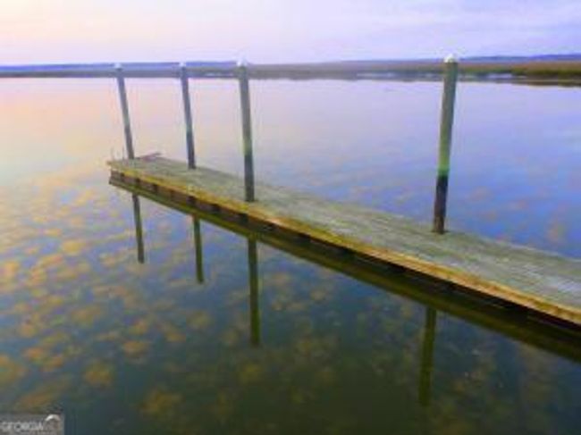 588 Lake Side Dr Ne, Home with 0 bedrooms, 0 bathrooms and null parking in Townsend GA | Image 7
