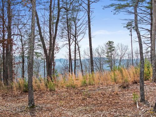LOT 162 E Ridge Cir, Morganton, GA, 30560 | Card Image