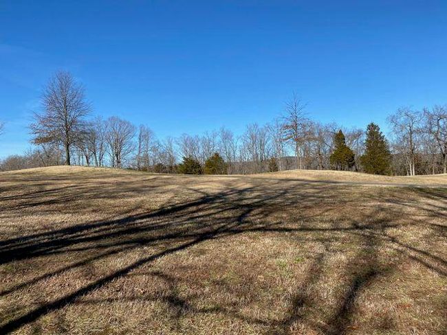 Stonebridge golf course back of lot. | Image 6