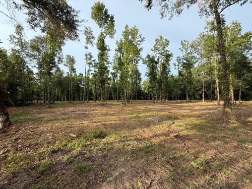 0 Walters Rd, Liberty, TX, 77575 | Card Image