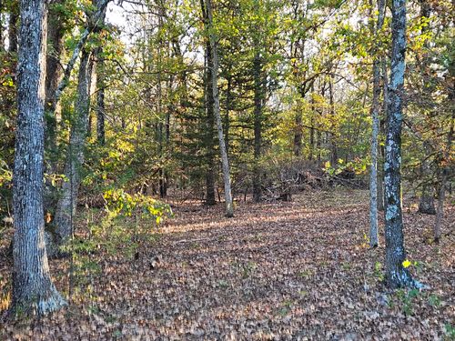 Tract 4 State Highway 174, Marionville, MO, 65705 | Card Image