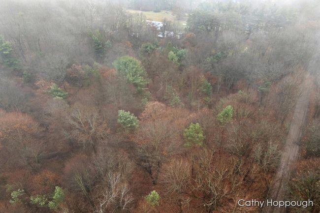 PARCEL-1 - V/L W Snows Lake Road, Home with 0 bedrooms, 0 bathrooms and null parking in Fenwick MI | Image 21