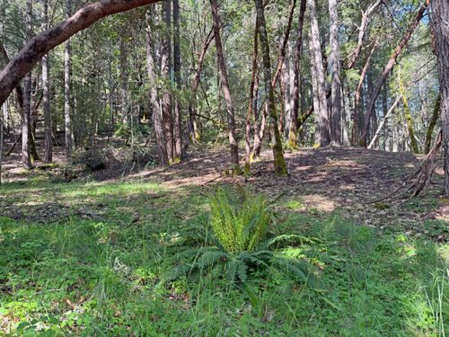 1666 Alcott Place, Willits, CA, 95490 | Card Image