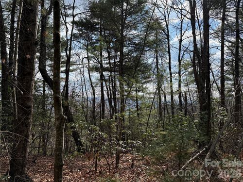 51-and-52a-TBD Staghorn Road, Purlear, NC, 28665 | Card Image