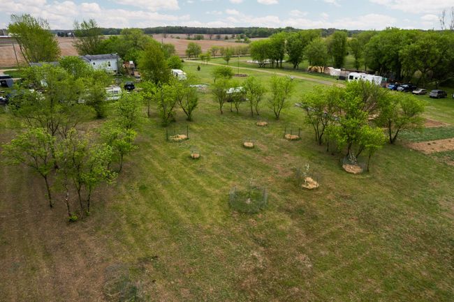 Fruit Trees | Image 24