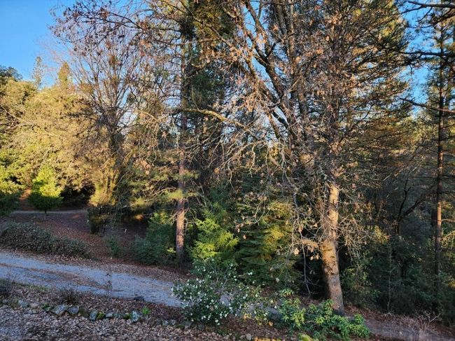 955 Grinding Rock Ct, House other with 3 bedrooms, 2 bathrooms and null parking in West Point CA | Image 48