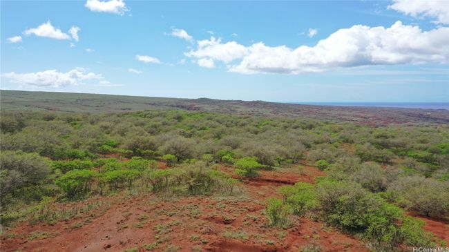 LOT-38 - 000 Kalua Koi Rd, Home with 0 bedrooms, 0 bathrooms and null parking in Maunaloa HI | Image 16