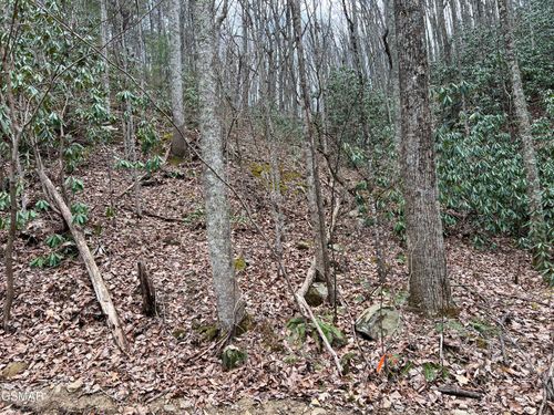 Lot 10 John Sevier Drive, Sevierville, TN, 37876 | Card Image